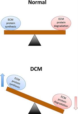 LncRNAs: Proverbial Genomic “Junk” or Key Epigenetic Regulators During Cardiac Fibrosis in Diabetes?